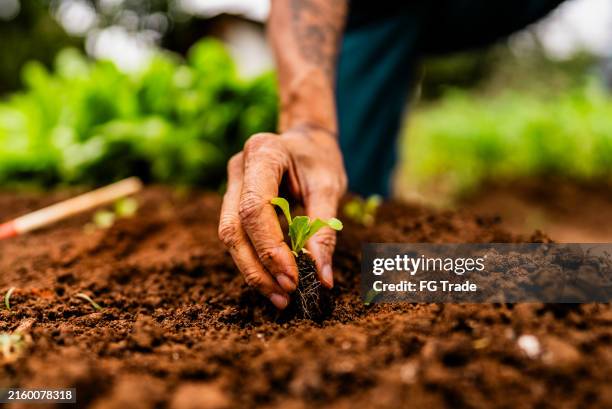 Farmer supported by the trust
