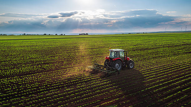 Farmer in the field